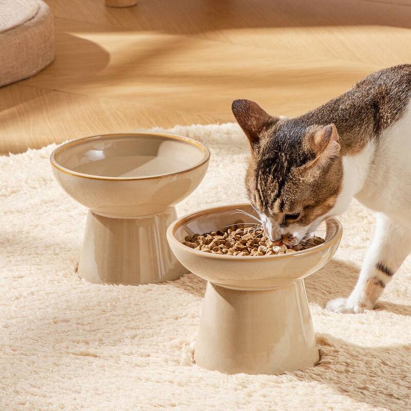 vancasso Elevated Stoneware 2-Piece Raised Dog & Cat Bowl Set