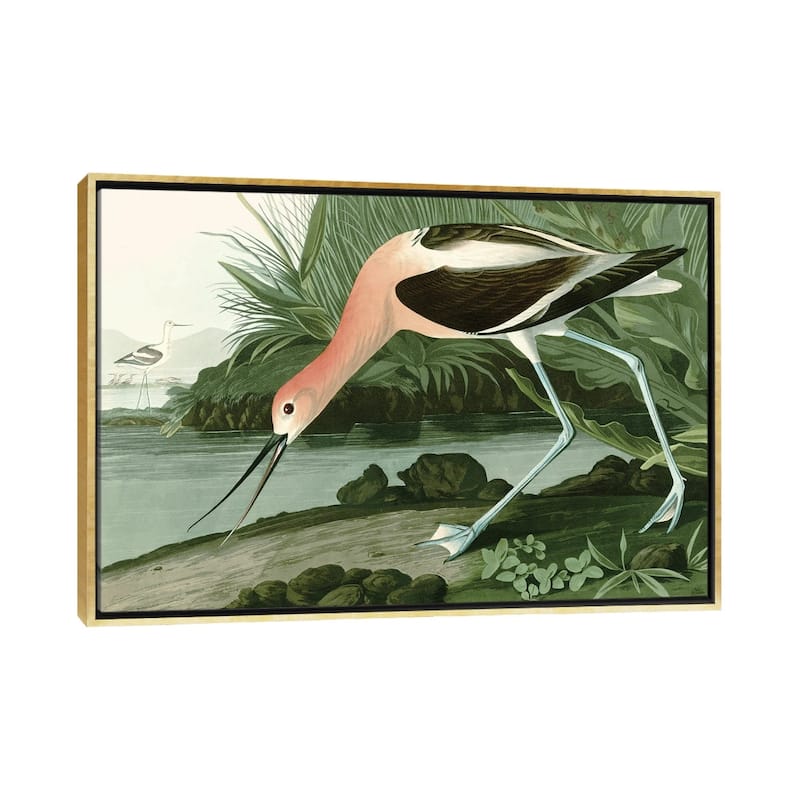 iCanvas "American Avocet" by Piddix Framed Canvas Print - Gold - 18x26
