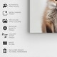 preview thumbnail 5 of 5, Wynwood Studio Canvas Animals Baby Animal Fox Brown and Modern & Contemporary Wall Art Canvas Print - Brown, White