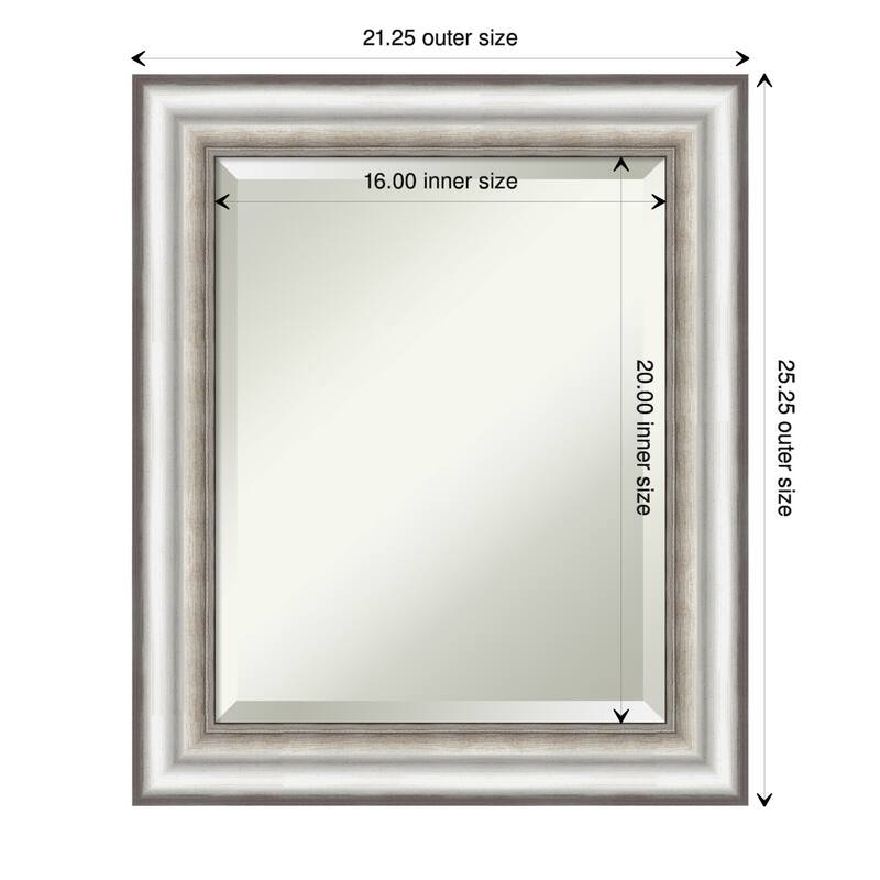 Beveled Wall Mirror - Salon Silver Frame - Salon Silver - 21.25 x 25.25-inch