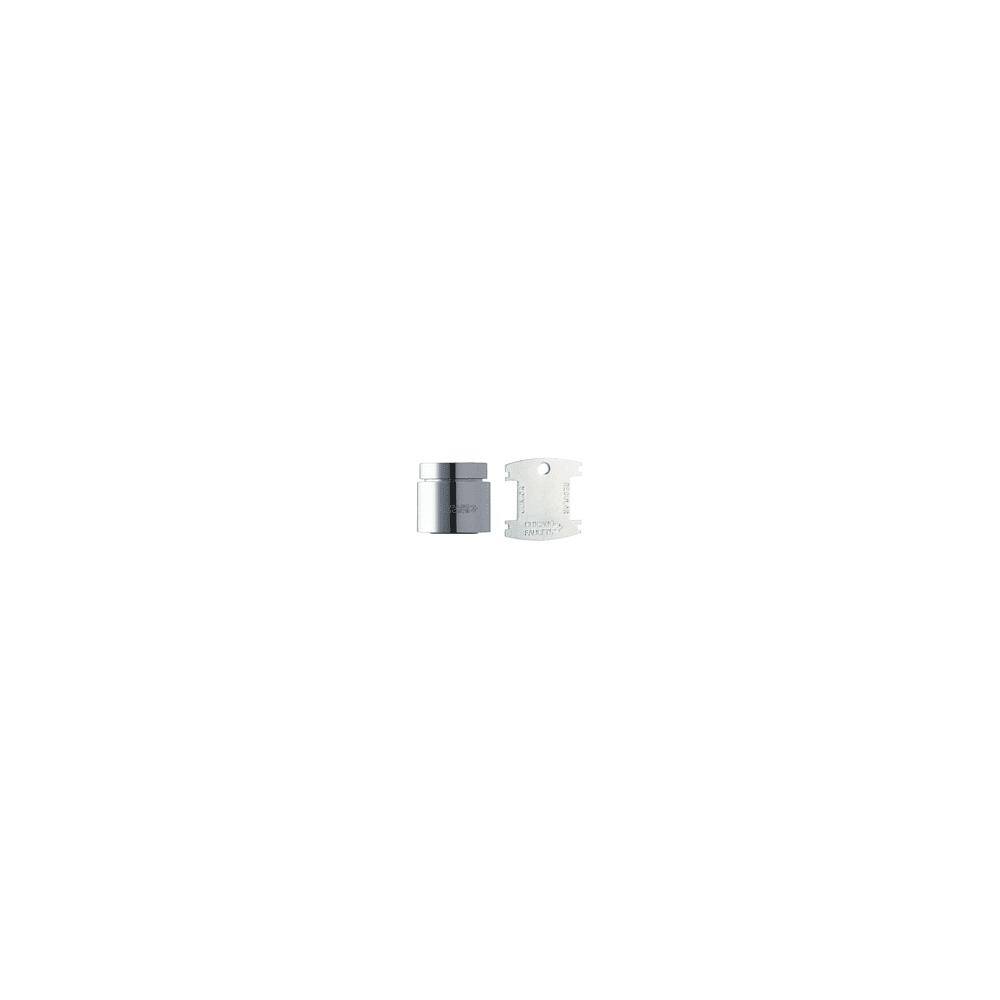 Chicago Faucets 0.5 GPM Vandal Proof Non-Aerating Spray Outlet