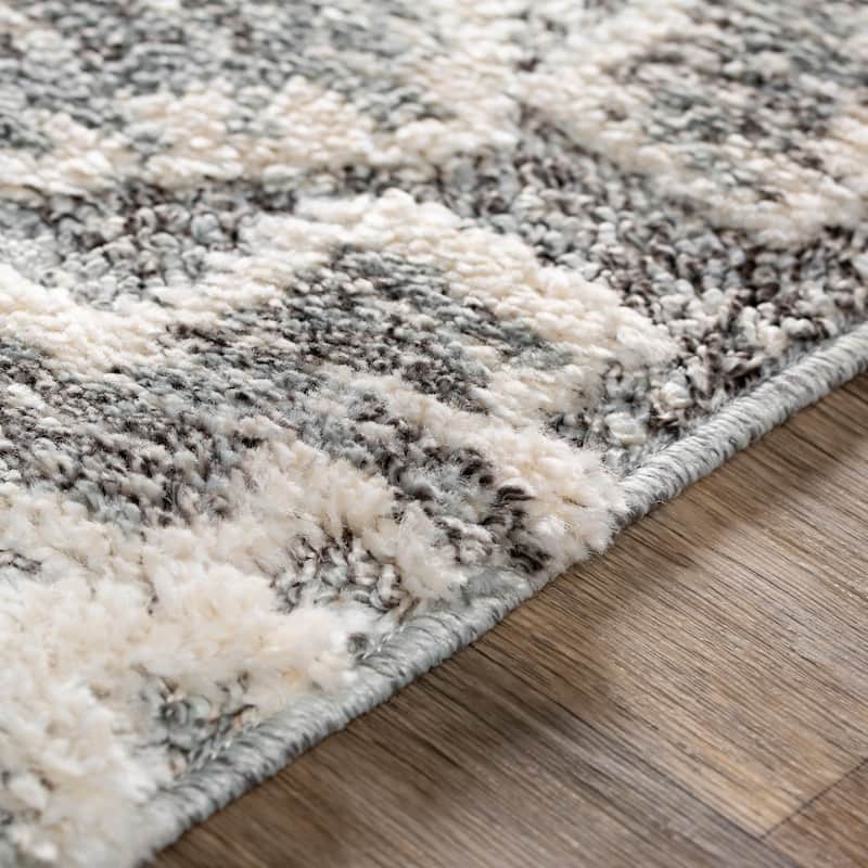 Sanderson Southwestern Medallion Area Rug