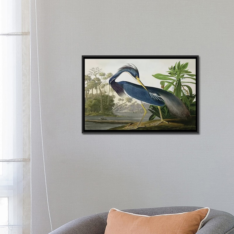 iCanvas "Louisiana Heron" by John James Audubon Framed Canvas Print