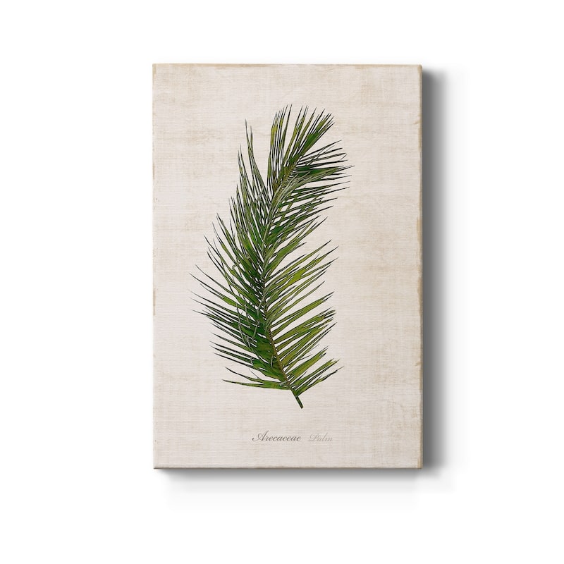 Palm Botanical II Premium Gallery Wrapped Canvas - Ready to Hang - 24X36