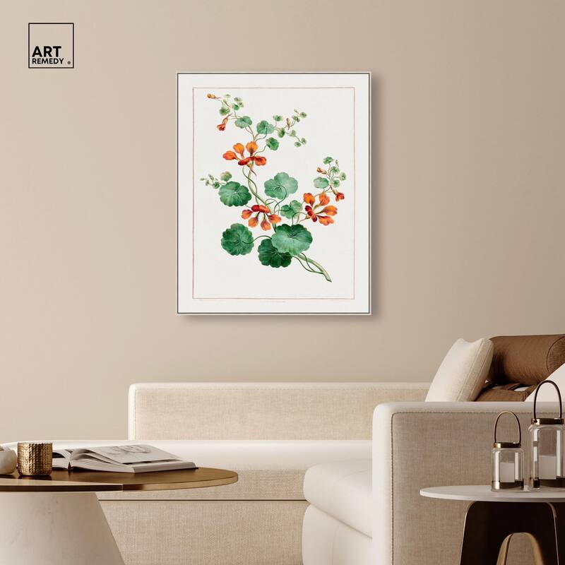Nasturtium (1788) Canvas by Art Remedy