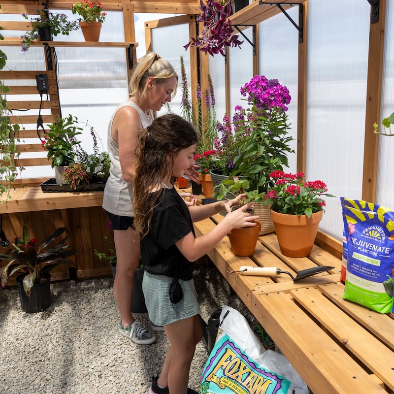 Backyard Discovery Savannah Chalet-Style 14.5' x 12' Cedar Greenhouse
