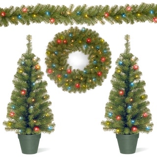 National Tree Company Promotional Assortment with Battery Operated LED Lights - 3 ft