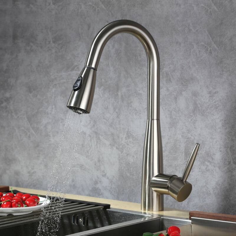 Dowell Series 8002/005 Single Handle Kitchen Faucet/Sprayer