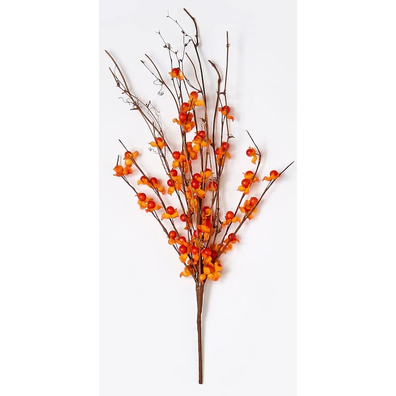 18" Bittersweet Spray, Set of 2