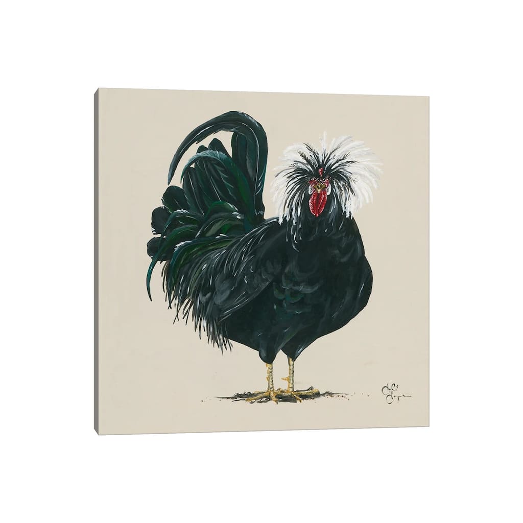 iCanvas "Chicken" by Hollihocks Art Canvas Print