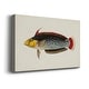 preview thumbnail 2 of 5, Tropical Fish Collection IV Premium Gallery Wrapped Canvas - Ready to Hang