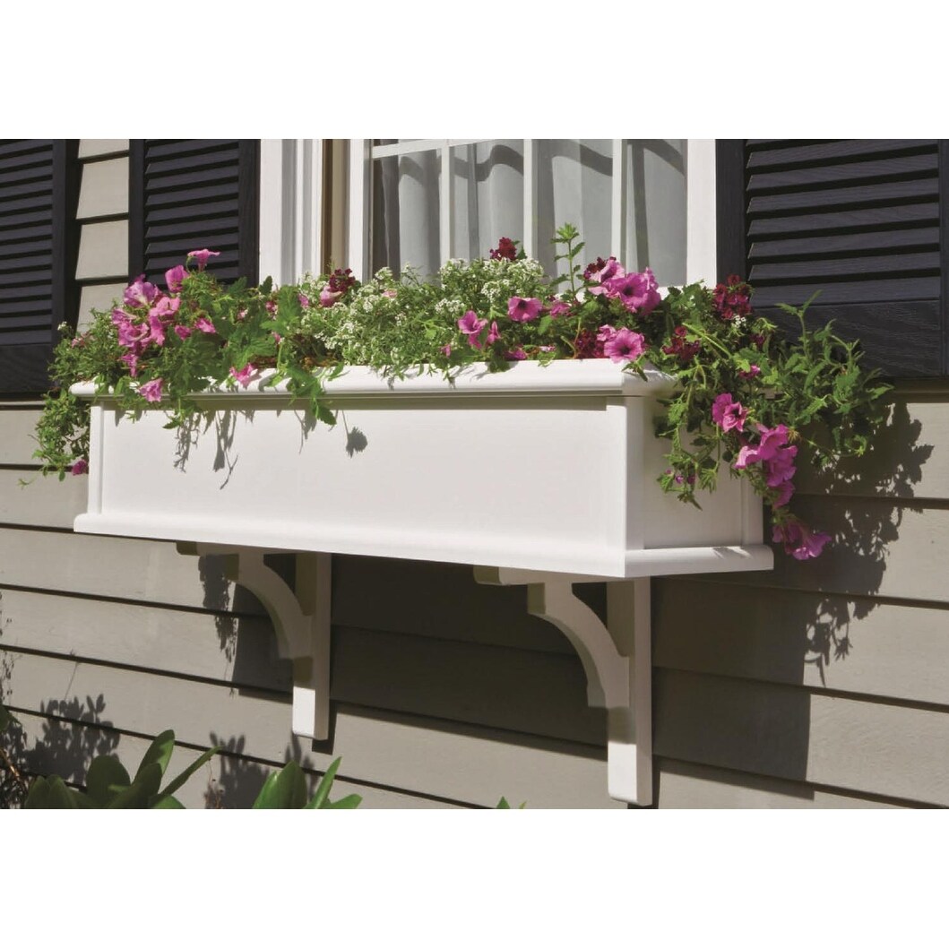 Shop 36 X 10 White Charleston Solid Cellular Vinyl Window Box