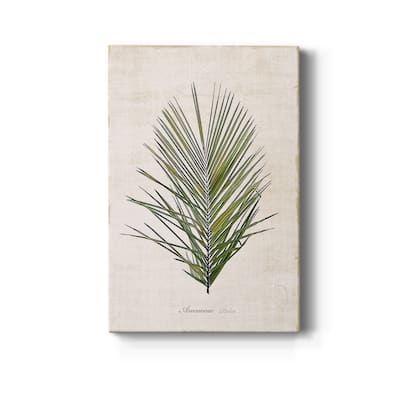 Palm Botanical I Premium Gallery Wrapped Canvas - Ready to Hang