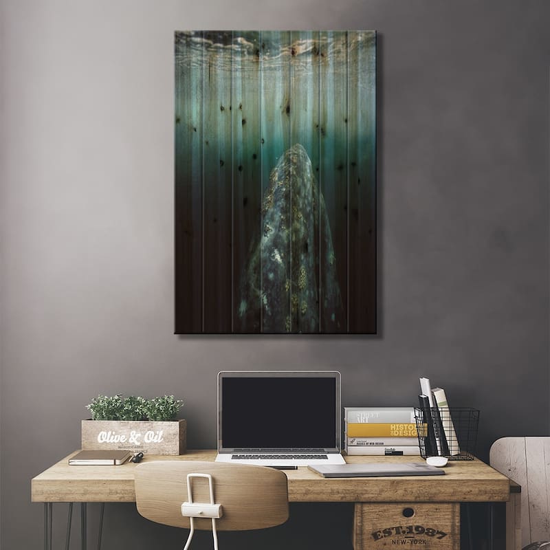 Gray Whale Adult Underwater In Breeding Lagoon, Magdalena Bay, Baja California, Mexico Print On Wood by Tui De Roy - Multi-Color
