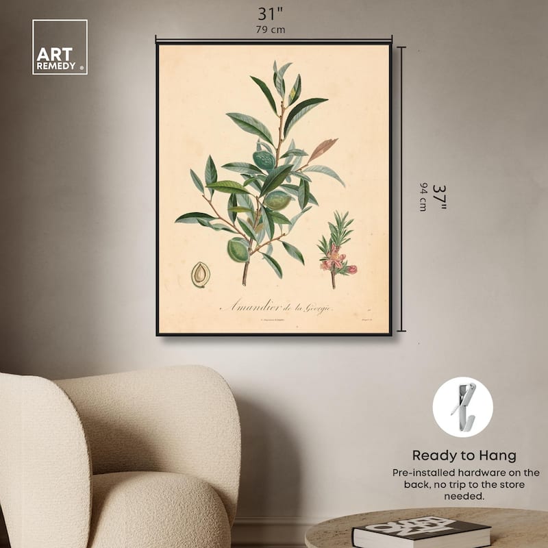 Almond of Georgia I Canvas by Art Remedy