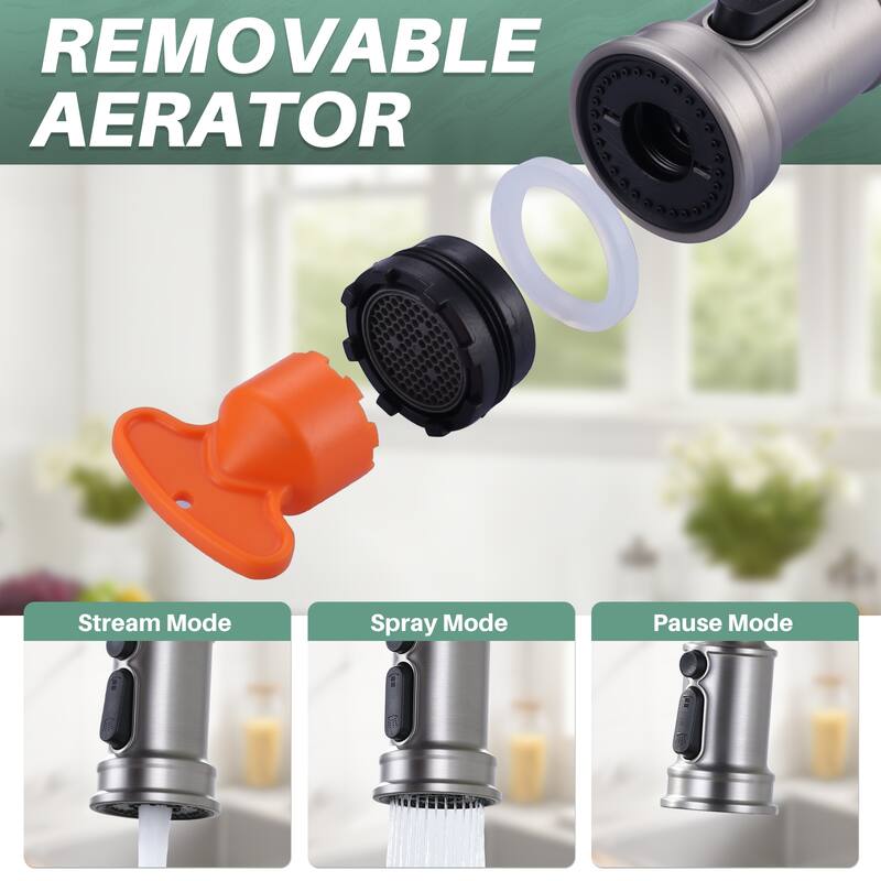 WOWOW Double Handle Bridge Kitchen Faucet with Advanced Spray