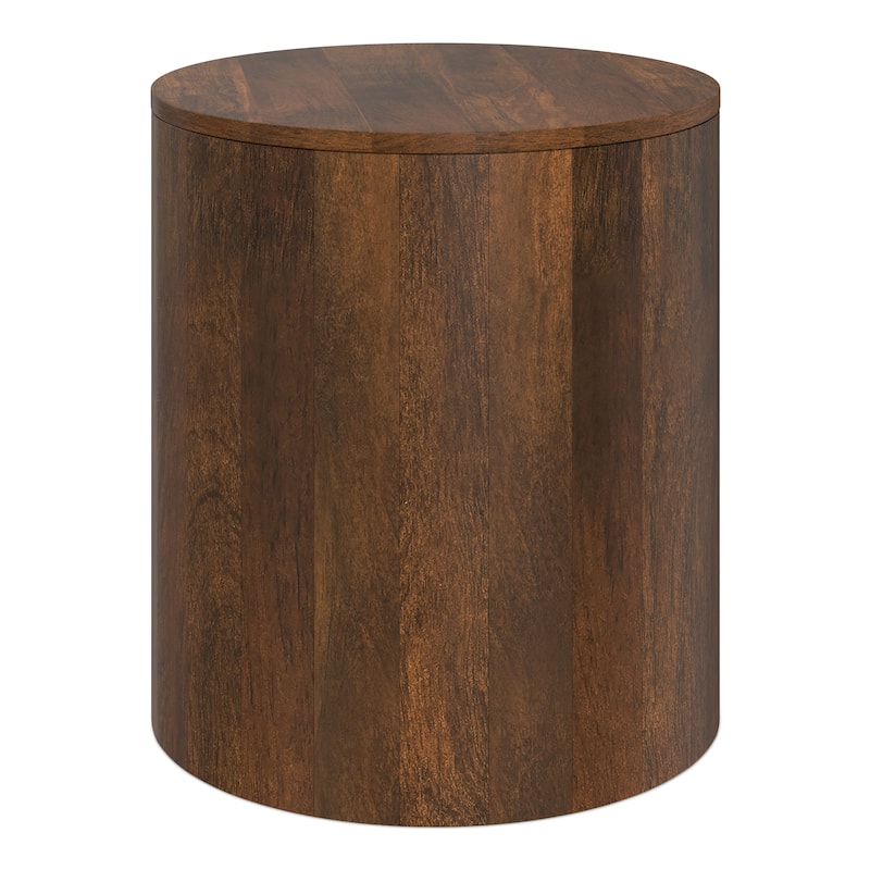 WYNDENHALL Hillmount 20 inch Wide Contemporary Side Table Assembled