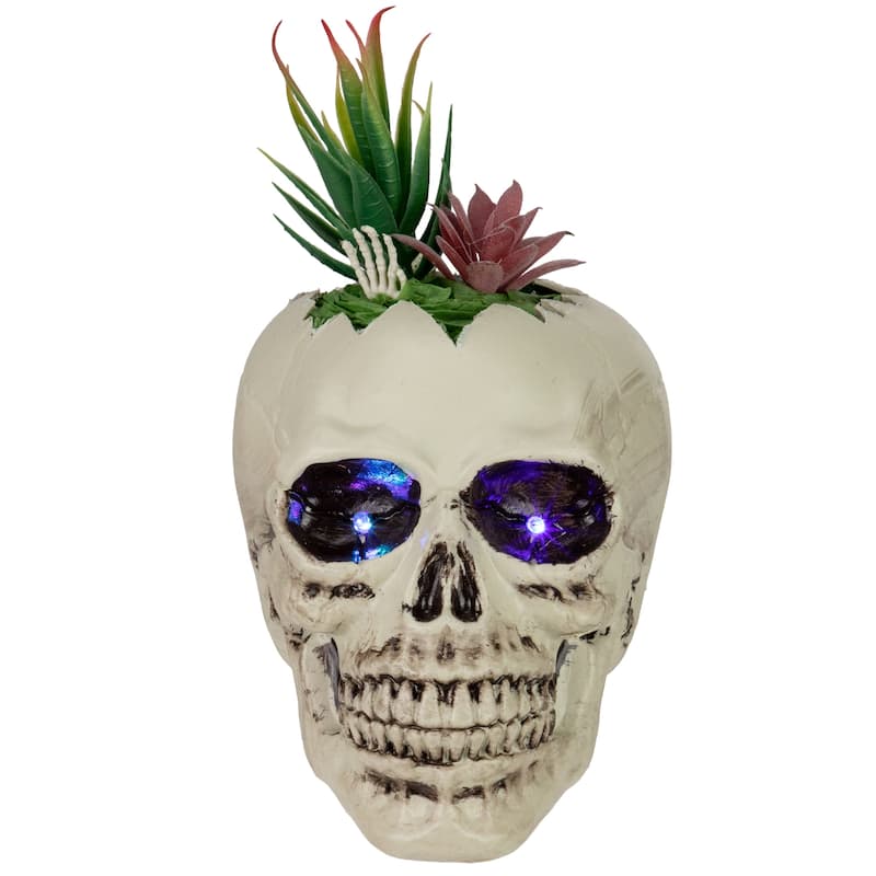 LED Lighted Succulent Halloween Skull Planter - 8.75"