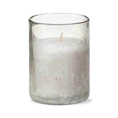 Handpoured Citronella Outdoor Eucalyptus Scented Small Candle in Clear Glass, 3.0L x 3.0W x 4.0H inches, Burn Time 20 Hours
