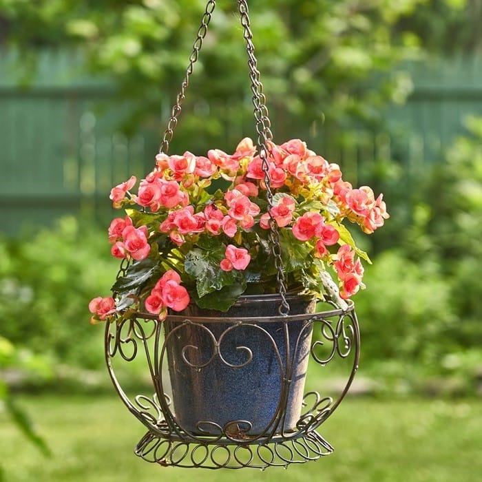 Set of 2 Iron Hanging Basket Planter in Bronze - 12.2" L x 12.2" W x 28.5" H