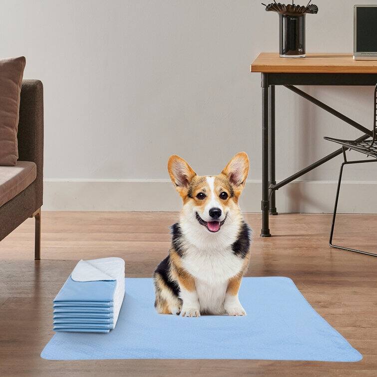 Waterproof Incontinence Pads / Protectors for Mattress, Couch, Carpet