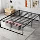 Option Black_Full