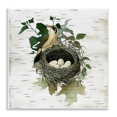 Stupell Vintage Bird Nest & Flora Wall Plaque Art Design By Susan Arnot