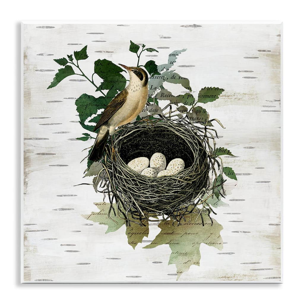 Stupell Vintage Bird Nest & Flora Wall Plaque Art Design By Susan Arnot