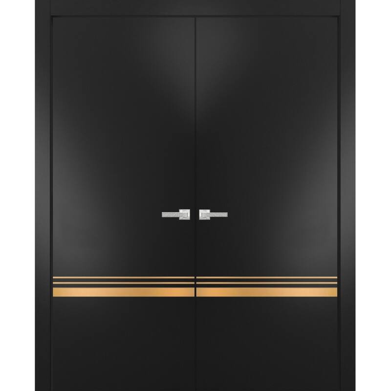 Solid French Double Doors 36 x 80 Planum 2010 Matte Black with - Black - 64" x 80" ( 2* 32x80)