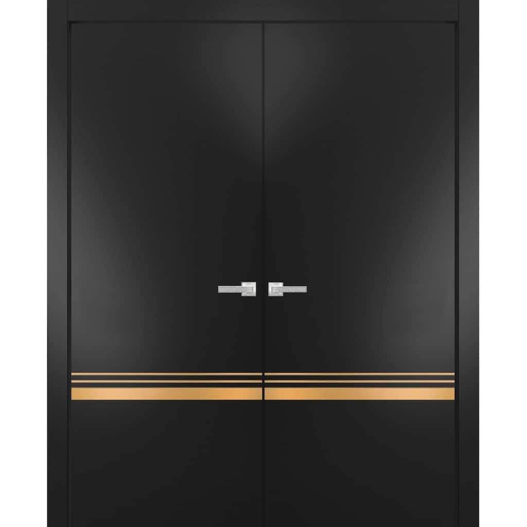 Solid French Double Doors 36 x 80 Planum 2010 Matte Black with