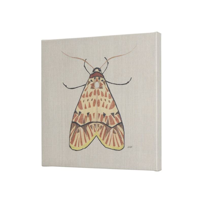 Moth I (20 x 20 ) Canvas Art Print