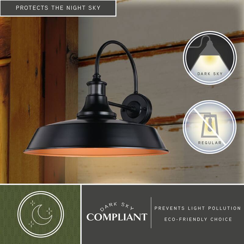 Dorado Bronze Motion Sensor Dusk to Dawn Farmhouse Barn Dark Sky Outdoor Wall Light