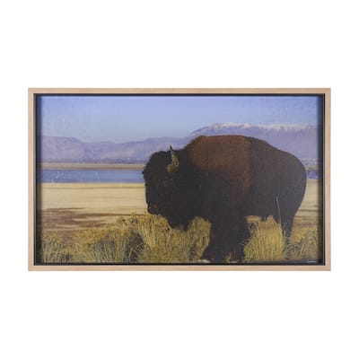 Antelope Island