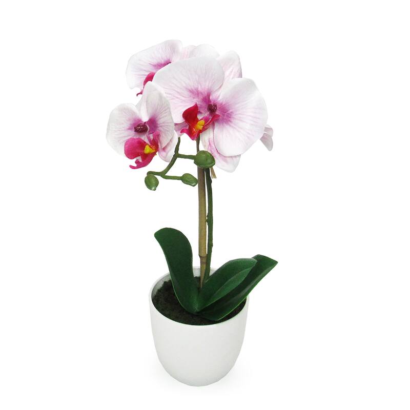Artificial Phalaenopsis Orchid Flower Arrangement in White Pot 13in