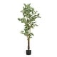 preview thumbnail 3 of 7, Christopher Knight Home - Alexander Artificial Ficus Tree with Black Plastic Pot