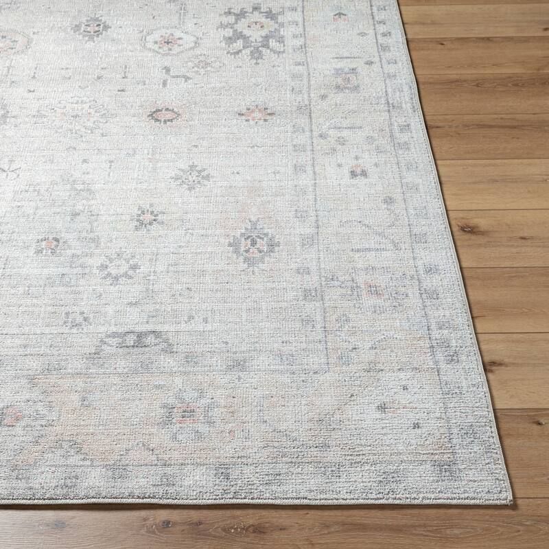 Livabliss Traditional Marlon Border Area Rug