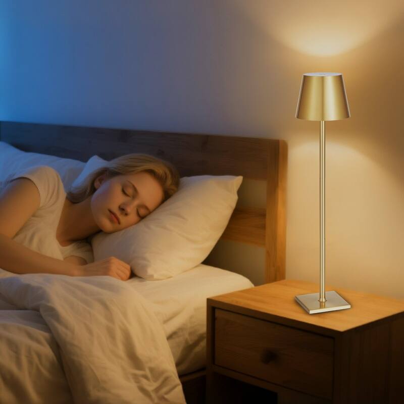 2 Pack Adjustable Cordless Lamp with Rechargeable Battery and USB