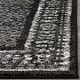 preview thumbnail 27 of 91, SAFAVIEH Adirondack Royce Distressed Rug