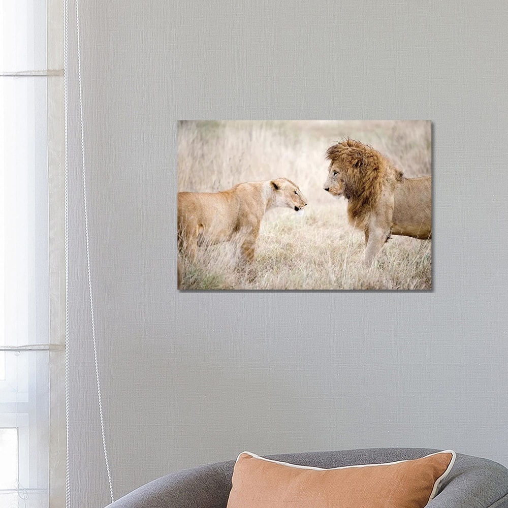 iCanvas "Lion And A Lioness Standing Face To Face In A Forest, Ngorongoro Crater, Tanzania" by Panoramic Images Canvas Print