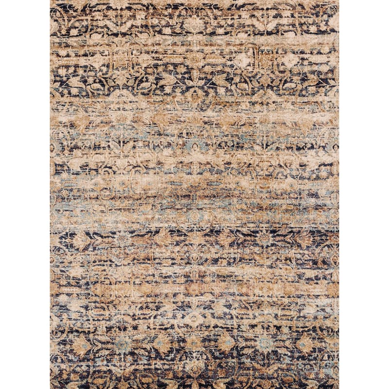 Alexander Home Contessa Traditional Distressed Area Rug