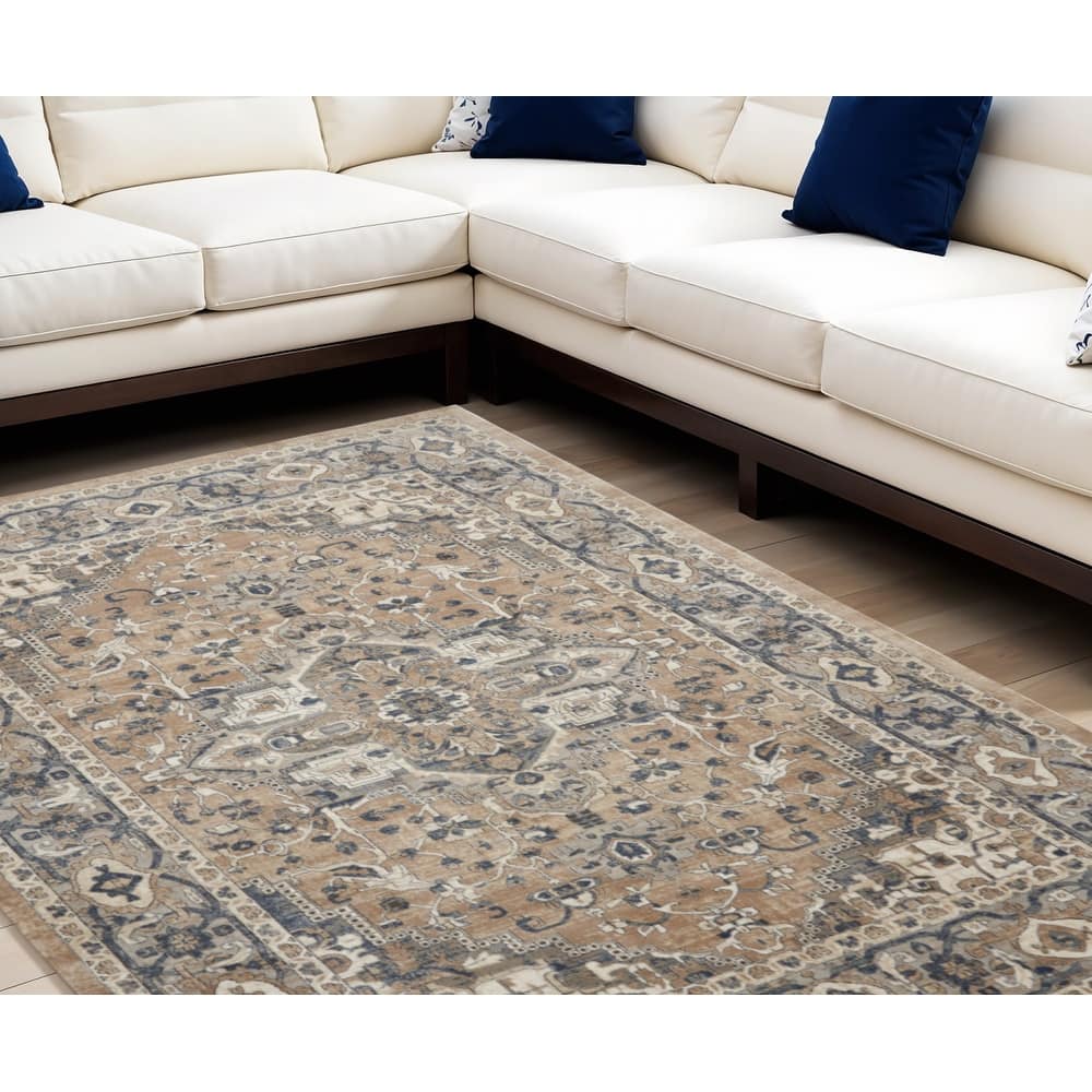 Lodux Power Loomed Distressed Traditional Durable Area Rug By HomeRoots