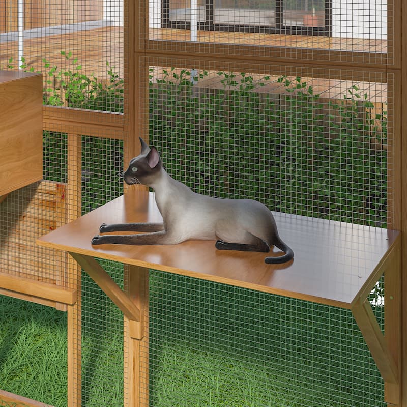 Large Outdoor Cat Enclosures with Houses, Bridges, Walks&UV Proof