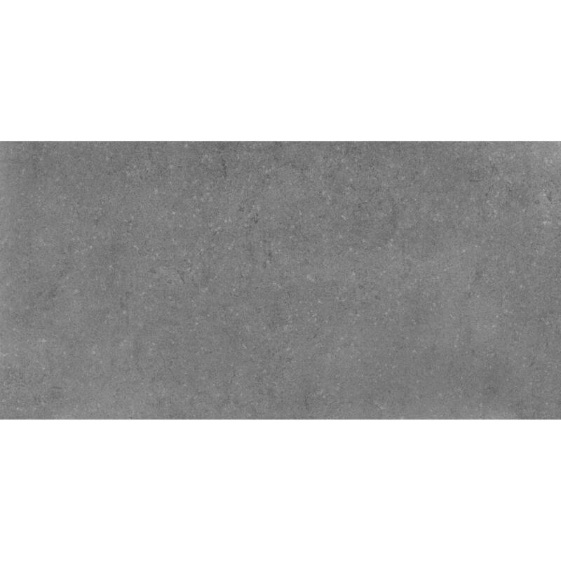 Ackland AKNPTBET24X48M-PL Betonica - 24" x 48" Porcelain Solid Floor - Steel