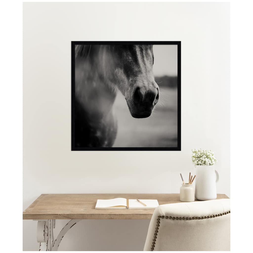 Kate and Laurel Horse Like Velvet by Laura Evans Framed Wall Art Print
