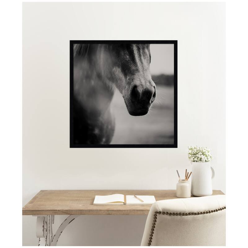 Kate and Laurel Horse Like Velvet by Laura Evans Framed Wall Art Print