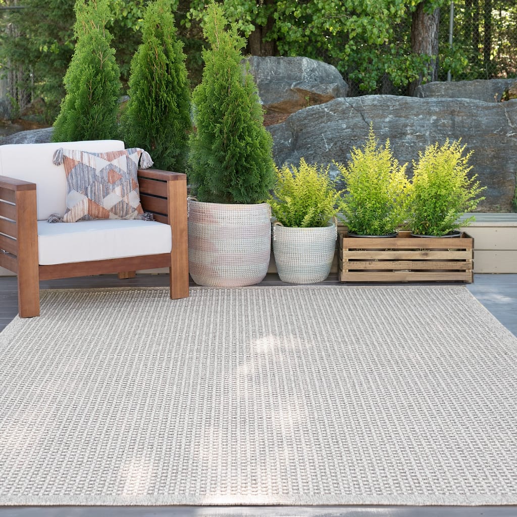 Dennis Coastal Windowpane Indoor/Outdoor Area Rug