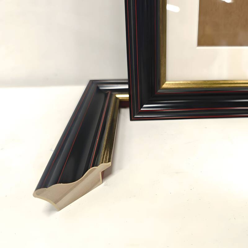 Set of 2 Colorful Elephant Framed Wall Art - Replaceable Canvas Prints with Solid Wood Picture Frames, Modern Animal Artwork