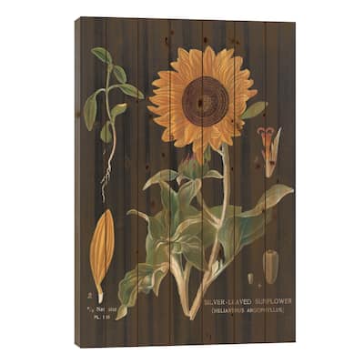 Sunflower Chart Print On Wood by Sue Schlabach - Multi-Color
