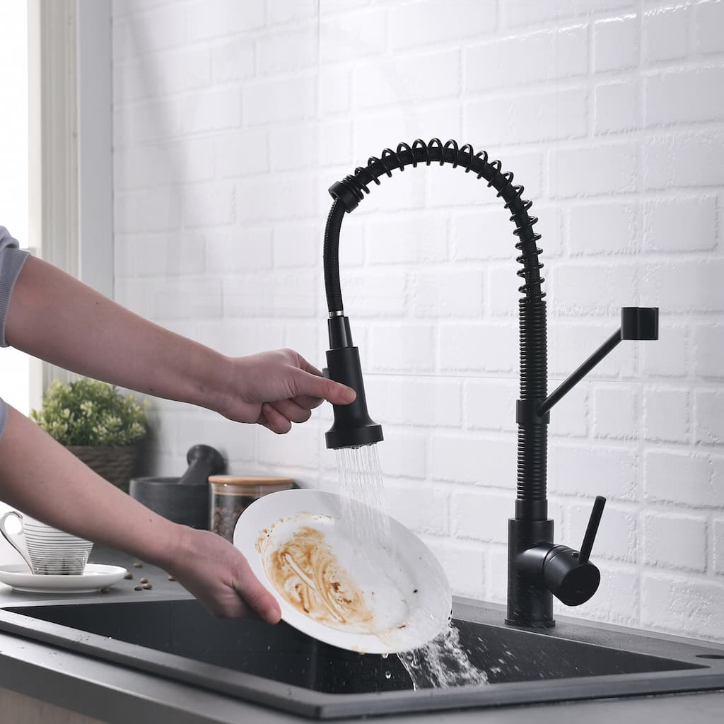 Kitchen Faucet with Pull Out Sprayer and Two Rotatable Spouts