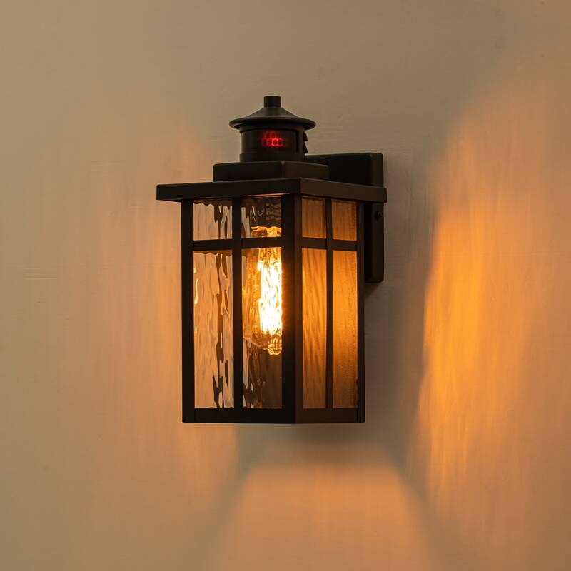 C Cattleya 2-Pack Matte Black Motion Sensor Dusk to Dawn Outdoor Wall Sconce Light With Water Glass